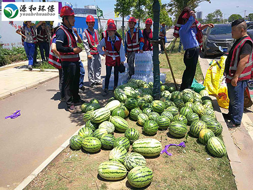 客户发西瓜